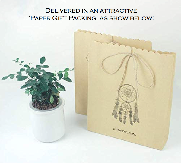 Macrame Leaf Star Dreamcatcher With Fairy Lights